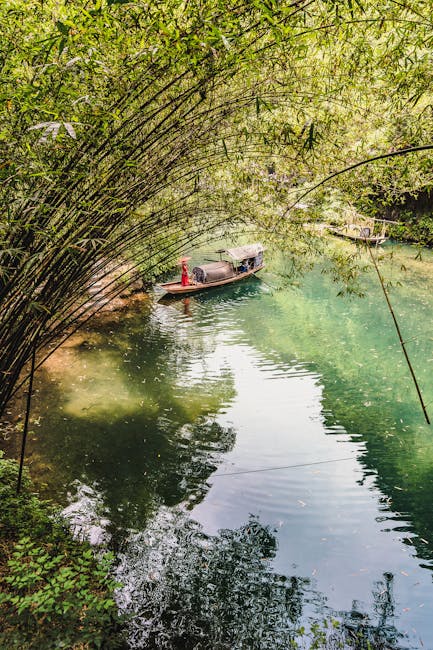 Calm person meditating outdoors surrounded by lush greenery.